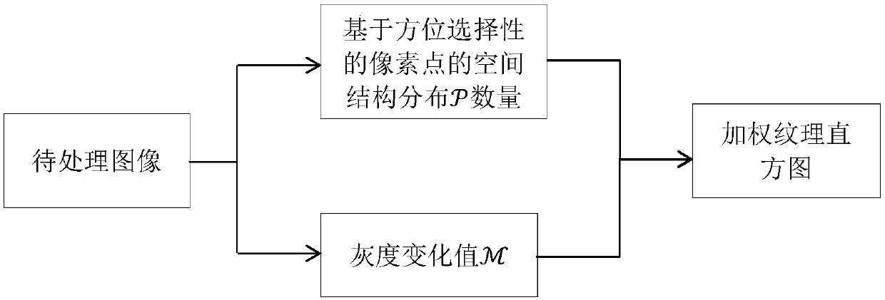 A Method of Texture Feature Extraction in Gray Image Based on Orientation Selectivity