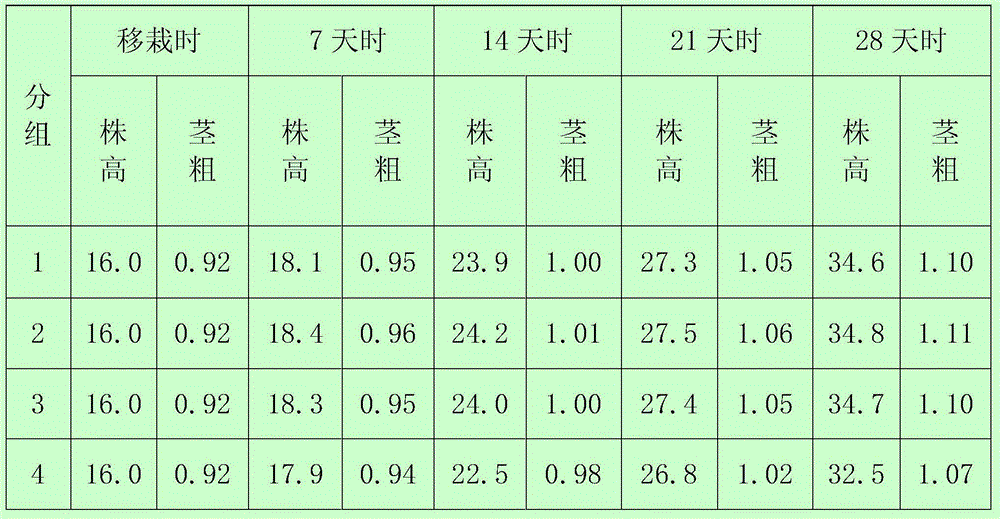 Shuixiu stone matrix for health-preserving flower potting