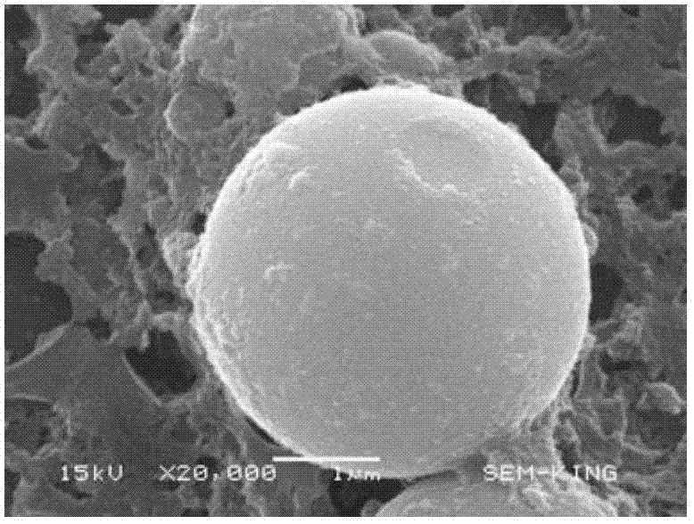 Thermal storage and insulation microcapsule for building material and preparation method thereof