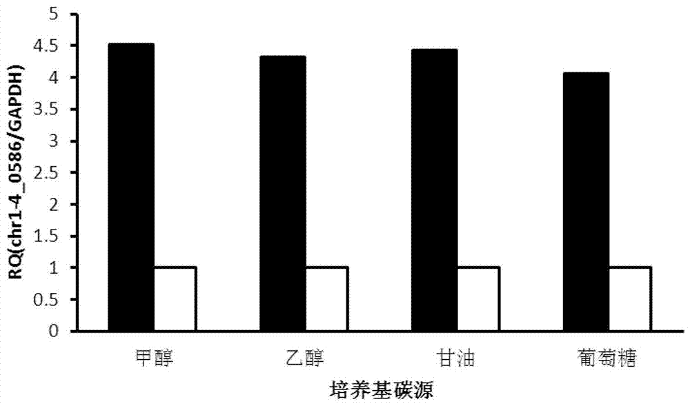 dna with constitutive promoter activity and its application and pichia pastoris expression vector