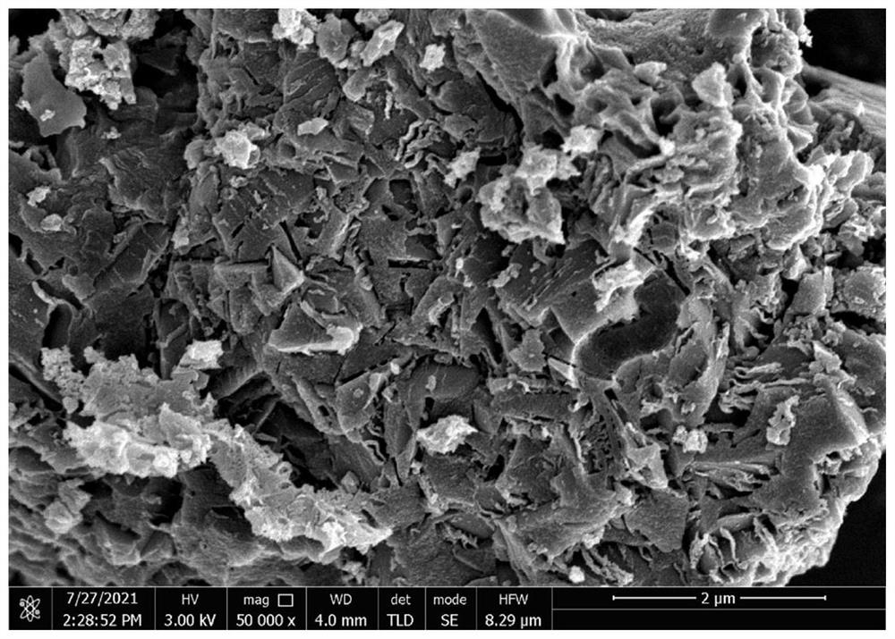 Metal-N4 doped carbon catalyst with high oxygen reduction performance and preparation method thereof