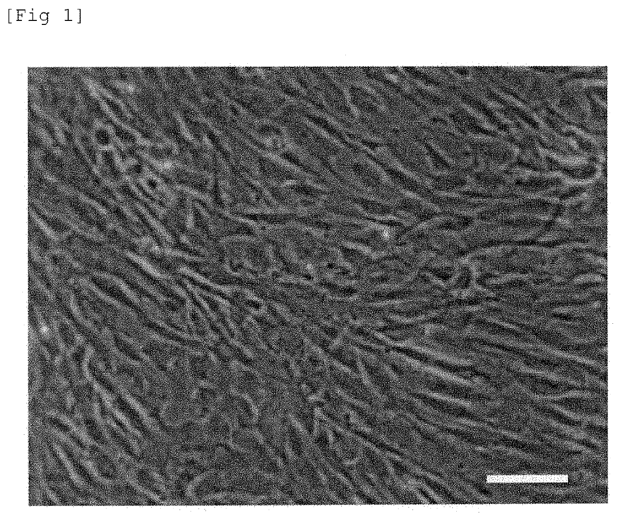 Method for manufacturing mesenchymal cell line derived from vertebrate animal adipose tissue