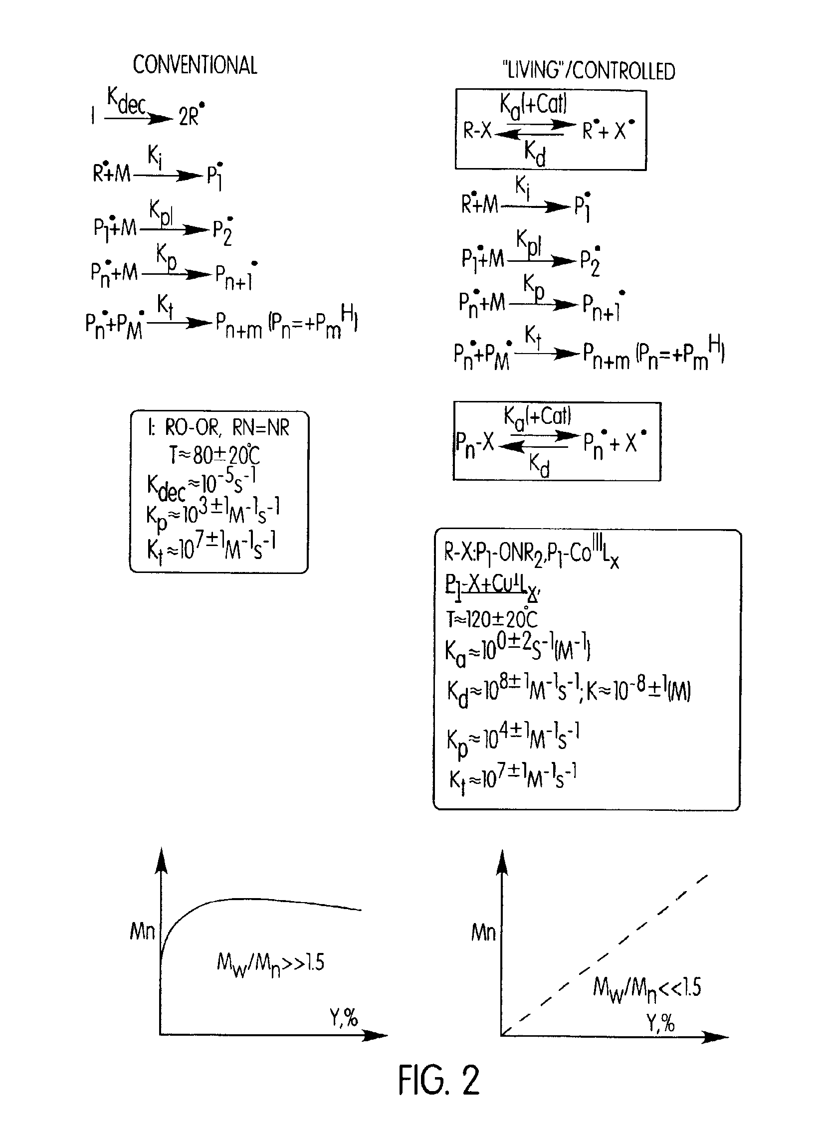 Processes based on atom (or group) transfer radical polymerization and novel (co)polymers having useful structures and properties