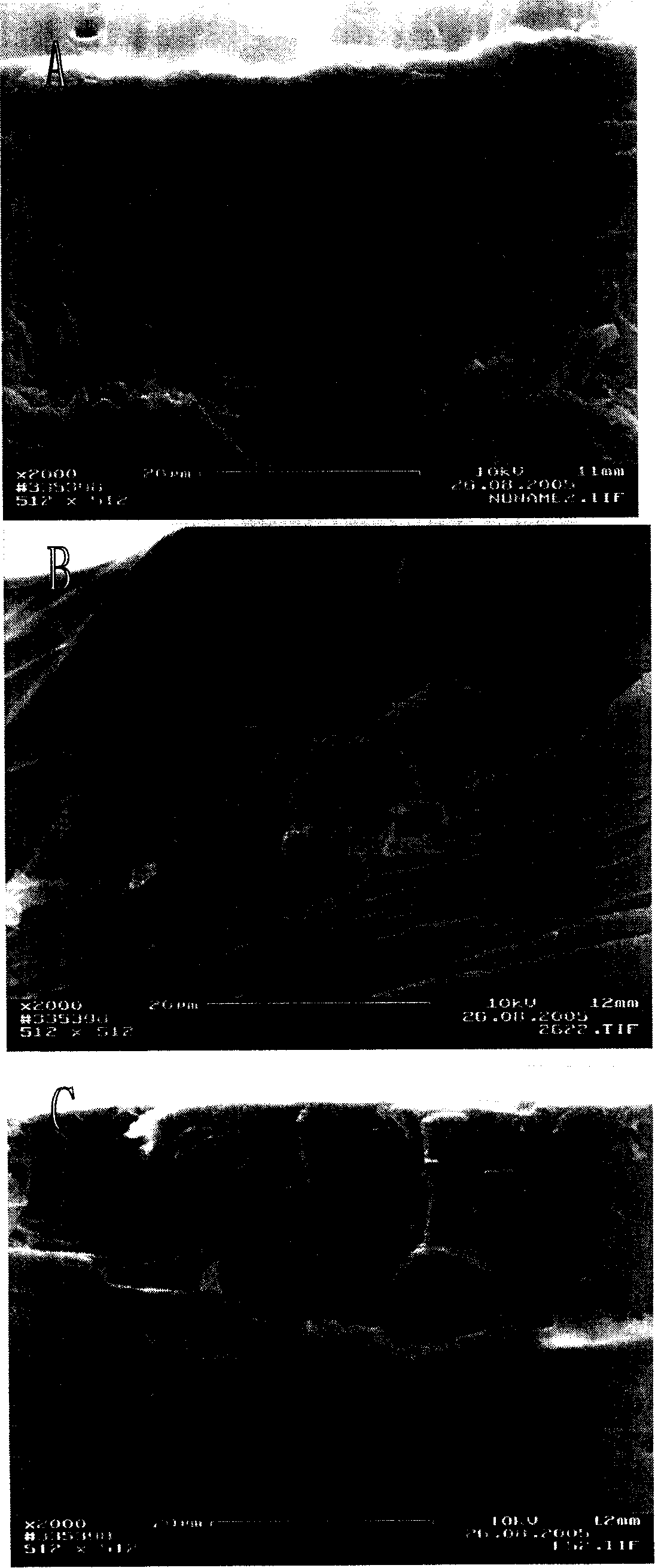 Water system corn protein pseudo-emulsion and its preparation method