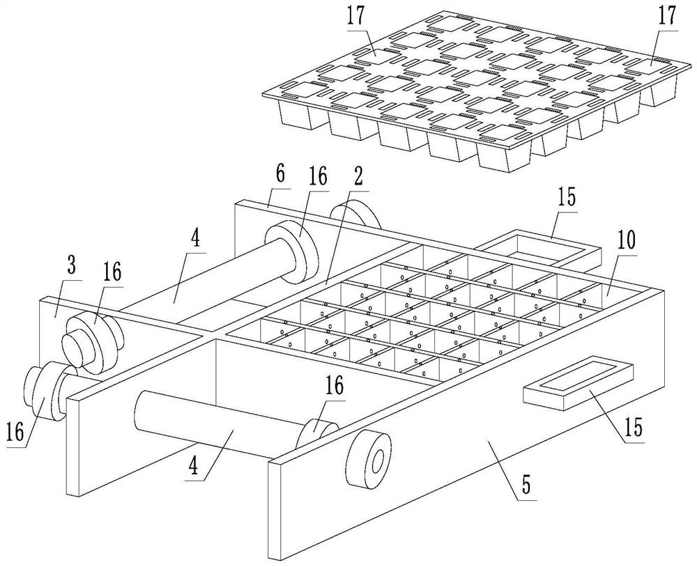 Novel ormosia hosiei seedling raising tray