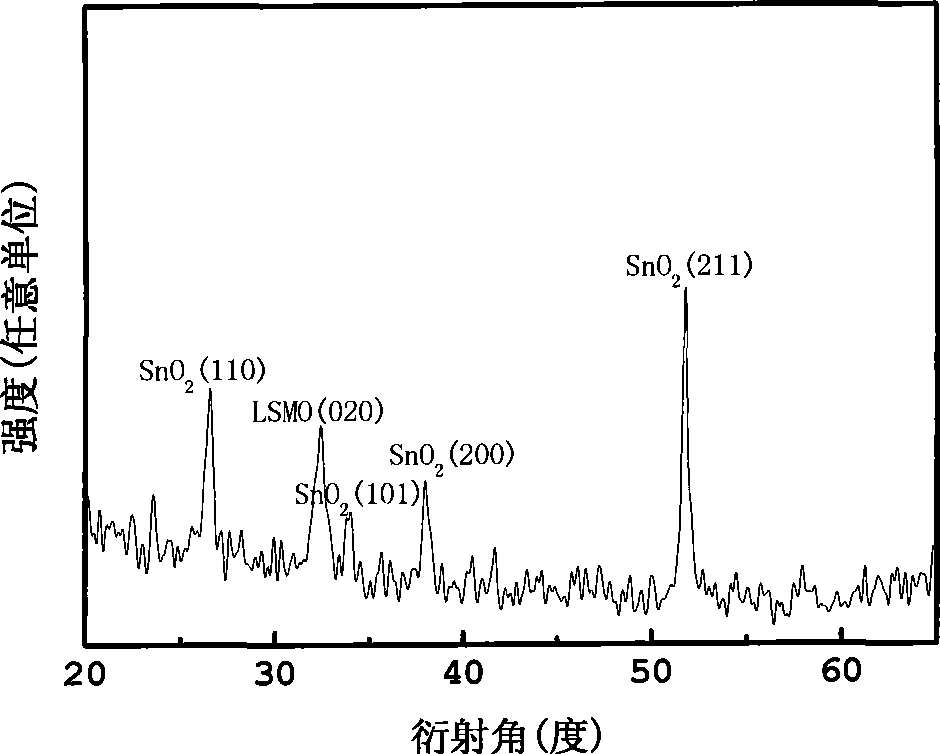 Perofskite structure lanthanide manganese oxides/tin oxide heterogeneous p-n junction and preparation thereof