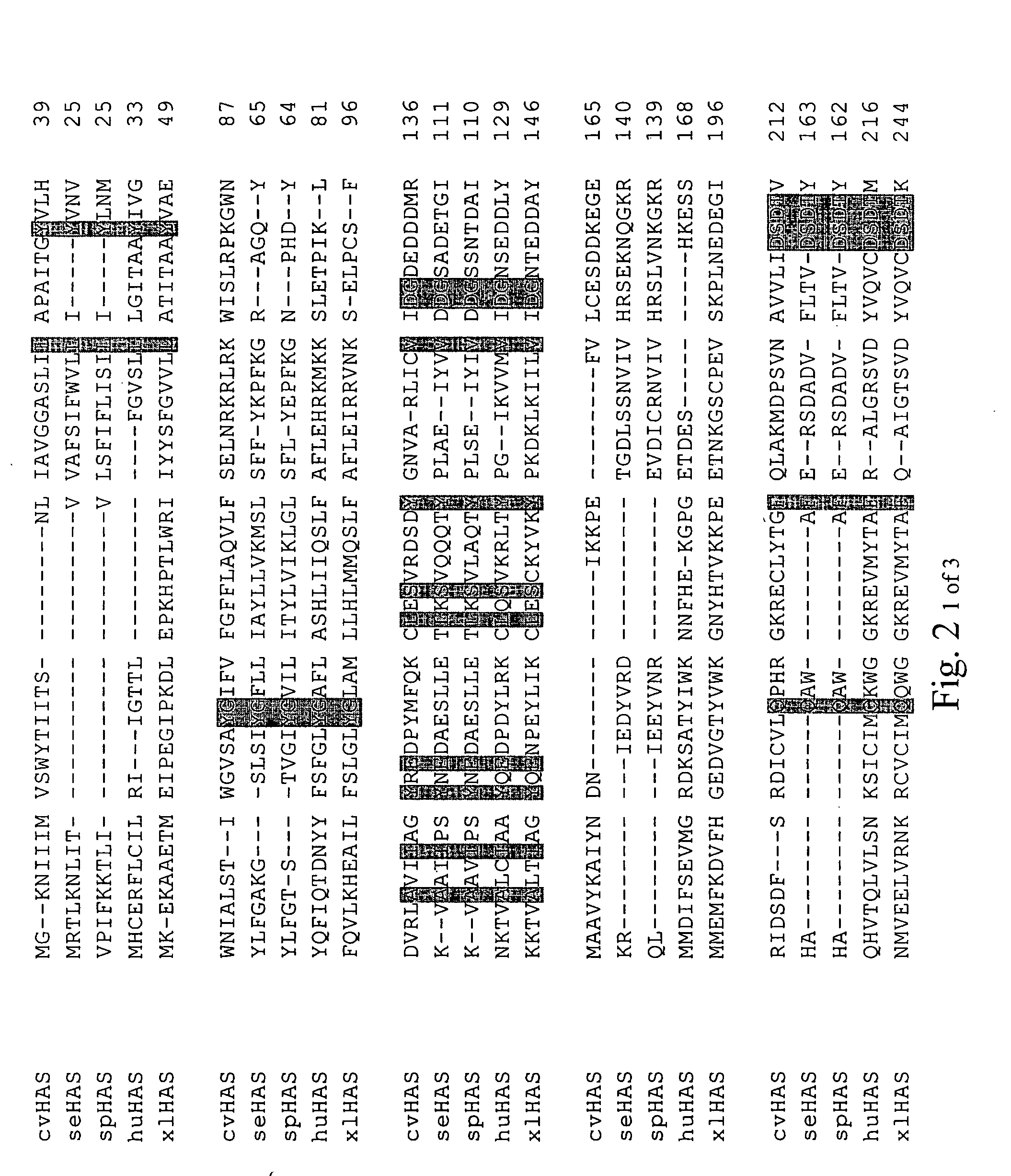 Methods of producing hyaluronic acid using a recombinant hyaluronan synthase gene