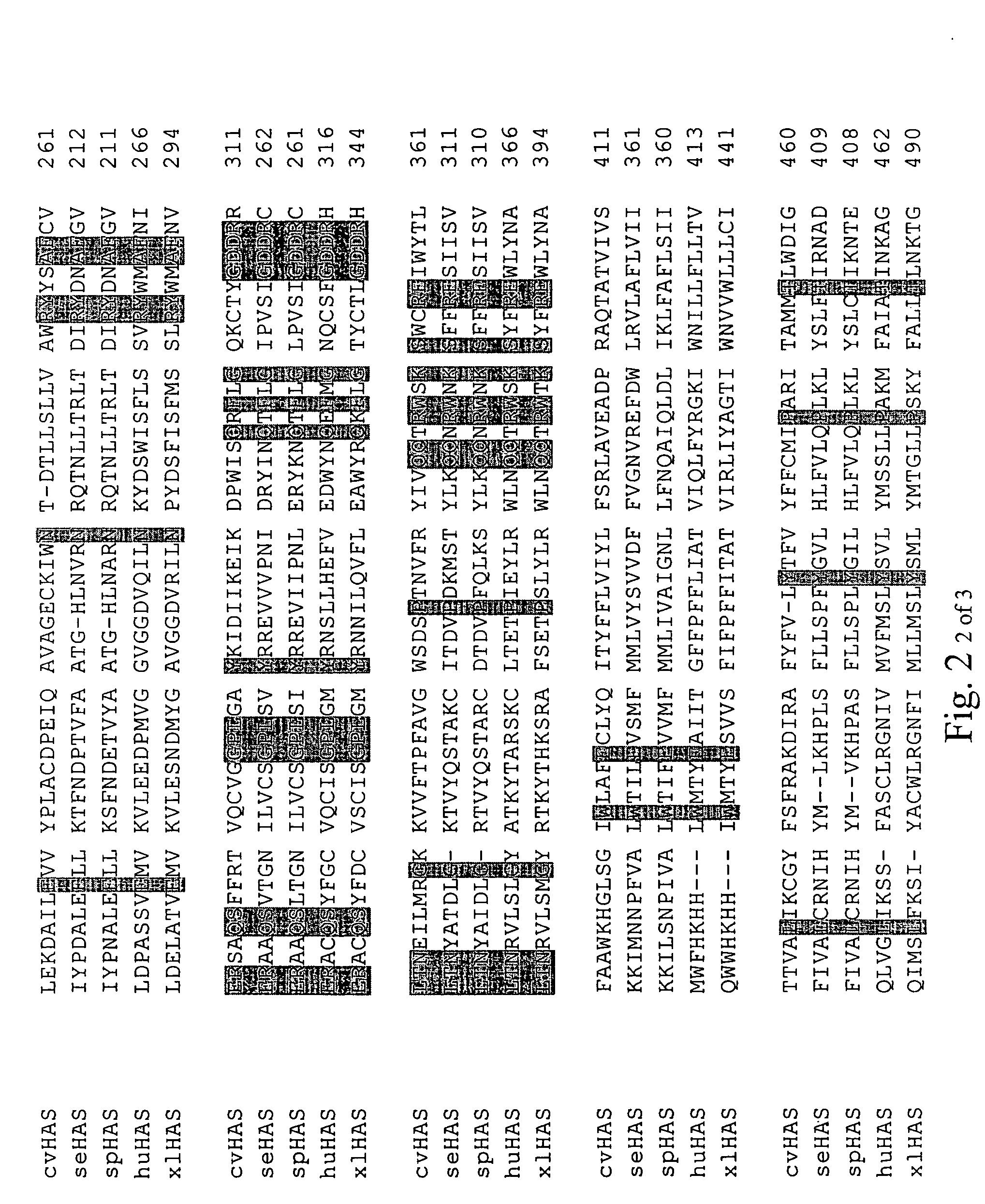 Methods of producing hyaluronic acid using a recombinant hyaluronan synthase gene