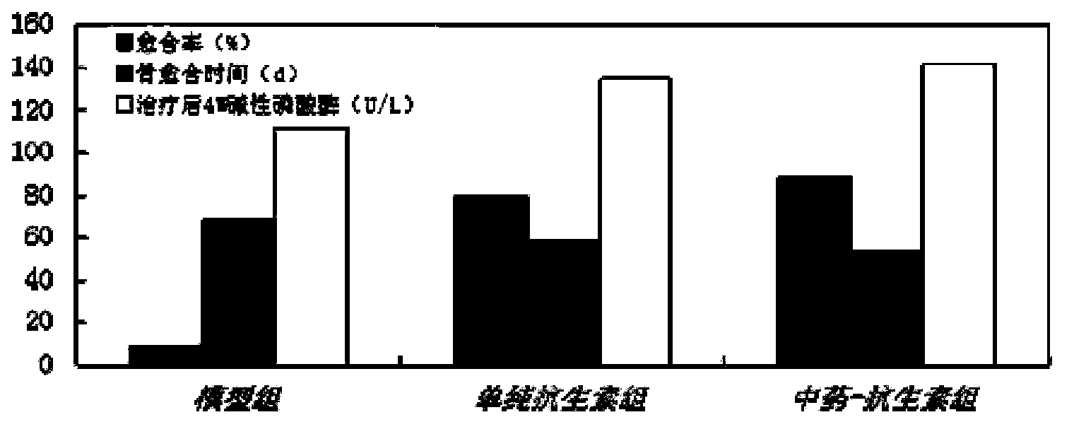 Implantable kidney-tonifying bone-invigorating traditional Chinese medicine extract-antibiotic-calcium sulfate sustained-release system, and preparation method and application thereof