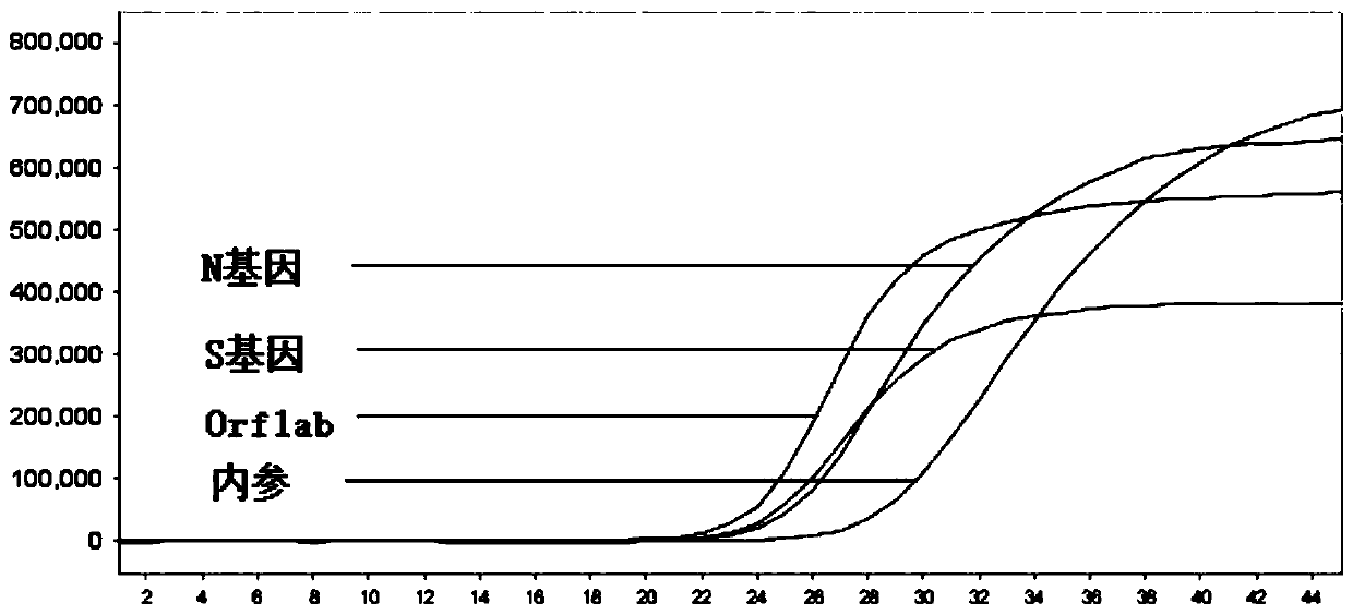 Method, kit and oligonucleotide for detecting novel coronavirus