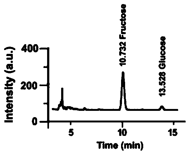 Application of polysaccharide EGFR inhibitor for targeted inhibition of tumor metastasis and preparation method of polysaccharide EGFR inhibitor