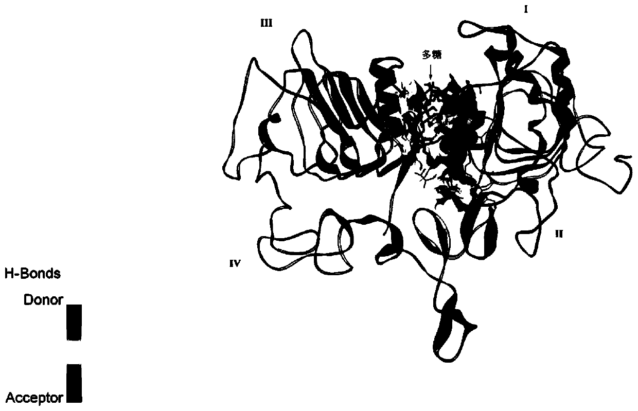 Application of polysaccharide EGFR inhibitor for targeted inhibition of tumor metastasis and preparation method of polysaccharide EGFR inhibitor