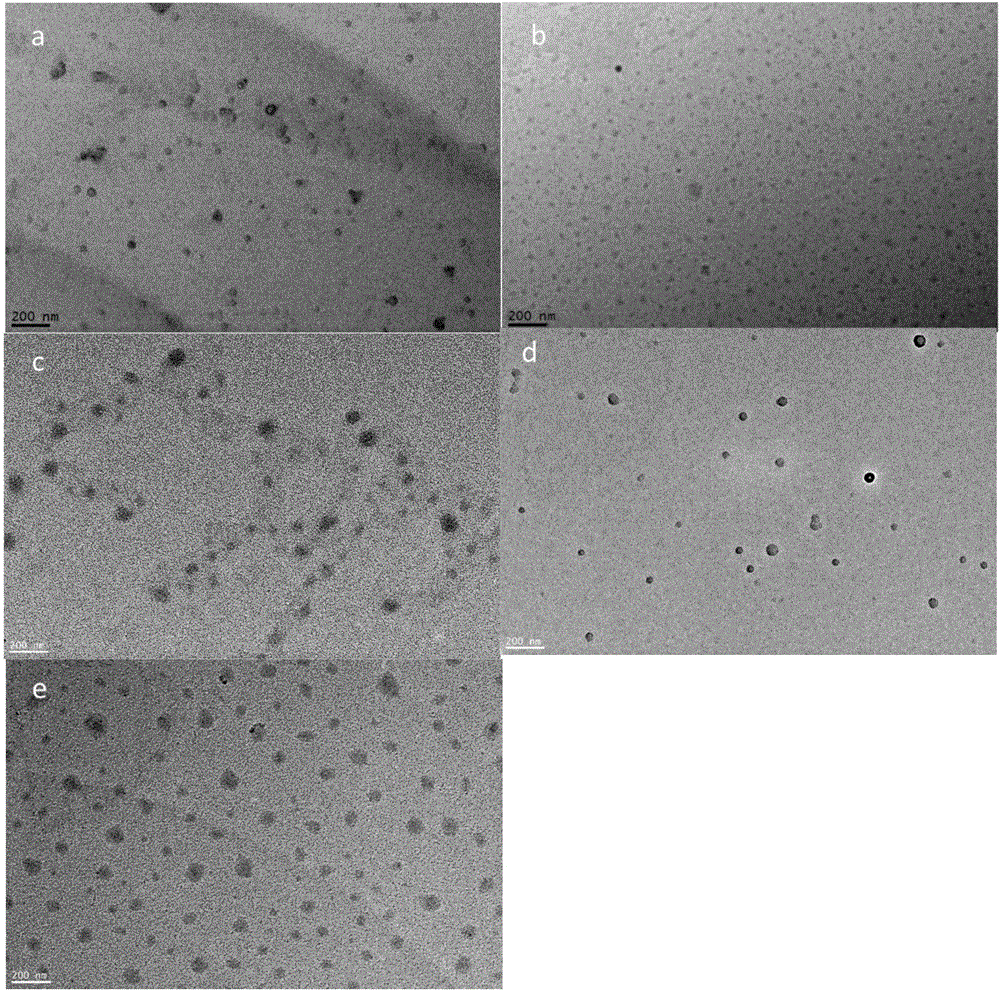 KGM (Konjac Glucomannan)-g (grafted)-AH (Alicyclic Amine) drug loaded nano micelle and preparation method