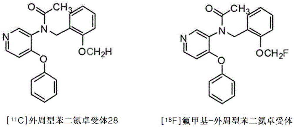 [18f]fluoromethyl group-introduced radiotracer for positron emission tomography for targeting brain neuroinflammation, synthesis thereof, and method for evaluating biological results using same