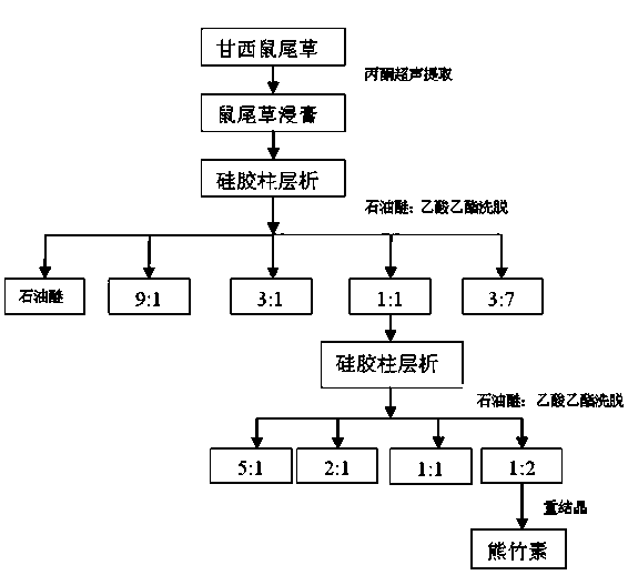 Application of kumata kenin in preparation of abnormal vascular proliferation inhibition medicines