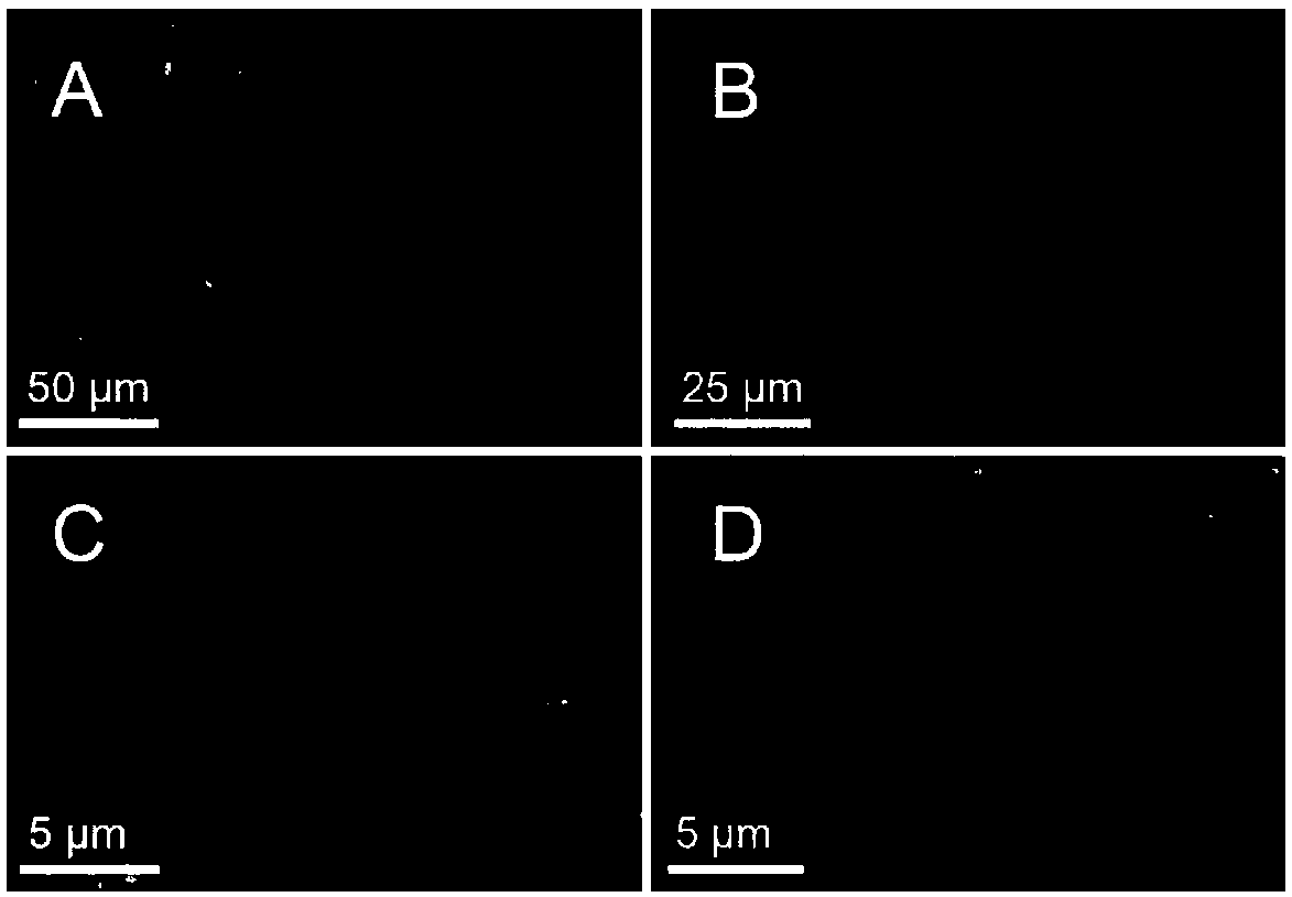 Method for preparing optical pure L-tertiary leucine from active inclusion body