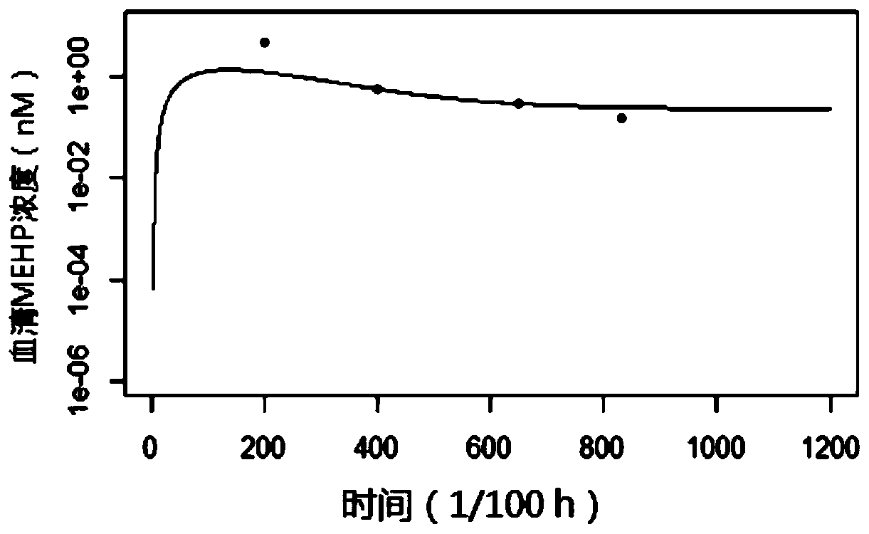 Physiological poison metabolic kinetic model of adults orally exposed to DEHP