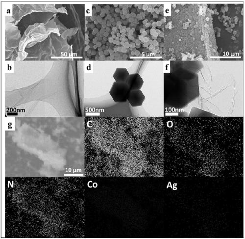 Physical and chemical synergistic anti-fouling type seawater uranium extraction adsorbent and preparation method thereof