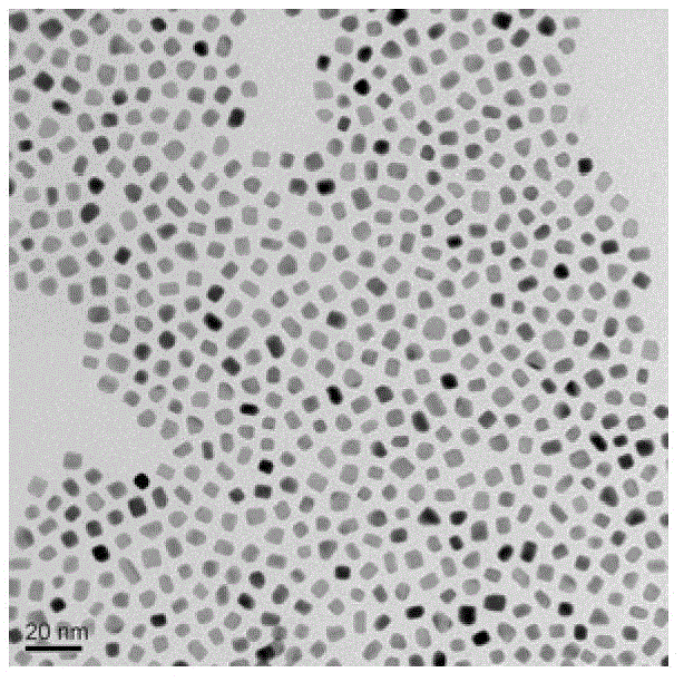 Preparation method of magnetic nanometer particles with adjustable and controllable particle diameter