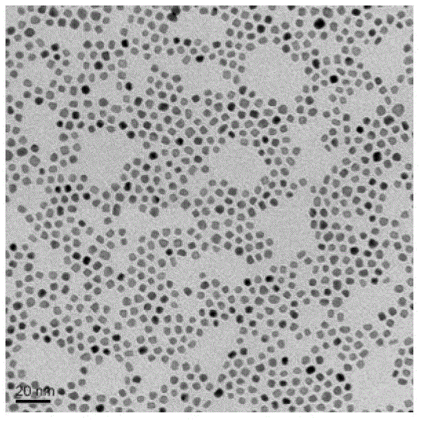 Preparation method of magnetic nanometer particles with adjustable and controllable particle diameter