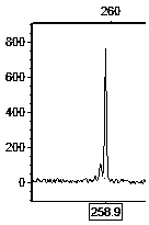 Primer set for hybrid cymbidium tortisepalum EST (expressed sequence tags)-SSR (simple sequence repeats) labeling and screening method