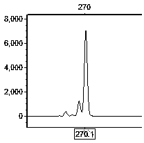 Primer set for hybrid cymbidium tortisepalum EST (expressed sequence tags)-SSR (simple sequence repeats) labeling and screening method