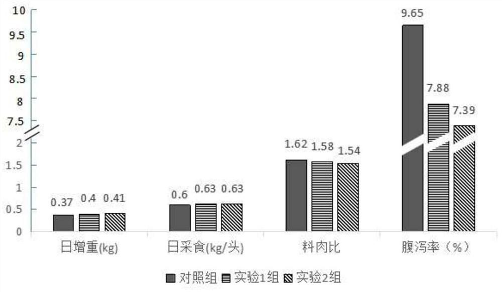 Compound Chinese herbal medicine probiotic fermented feed additive for pigs