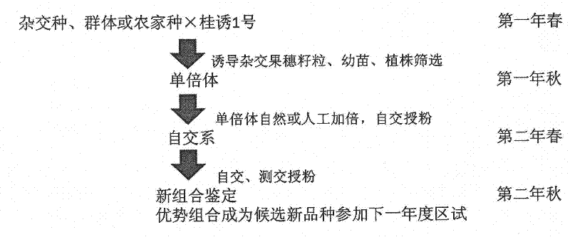 Breeding method of maize parthenogenesis inducer and its application in maize inbred line breeding