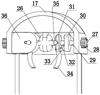 Knee rehabilitation device