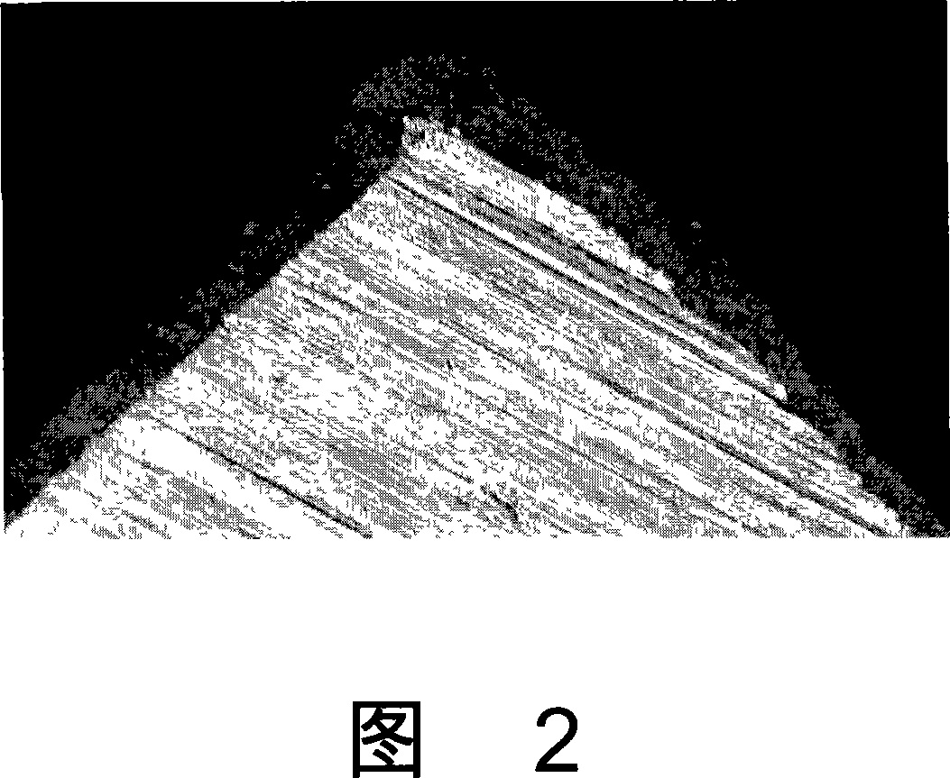 Edge cover paint and method for forming thick coating film on edge of steel material by using the paint