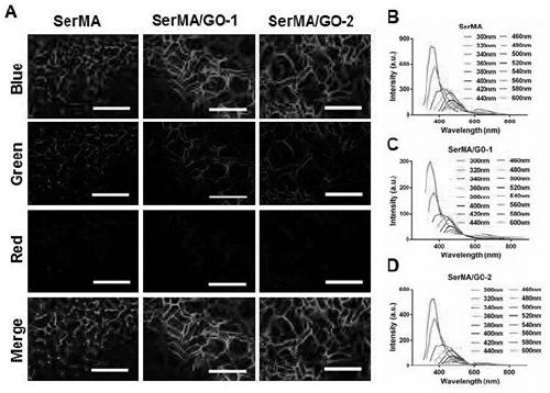 Sericin/oxidized graphene composite hydrogel as well as preparation method and application thereof