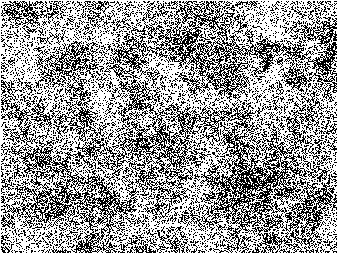 Method for preparing manganese series lithium-ion sieve adsorbent H4Mn5O12 and precursor thereof