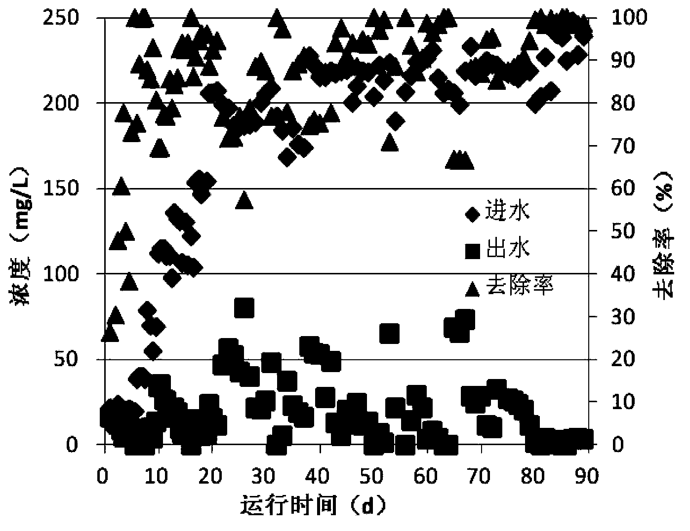 Cultivation method of anammox granular sludge