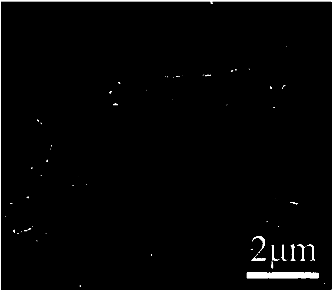 Preparation method of cnts/ti biomimetic micro-nano laminated composite material