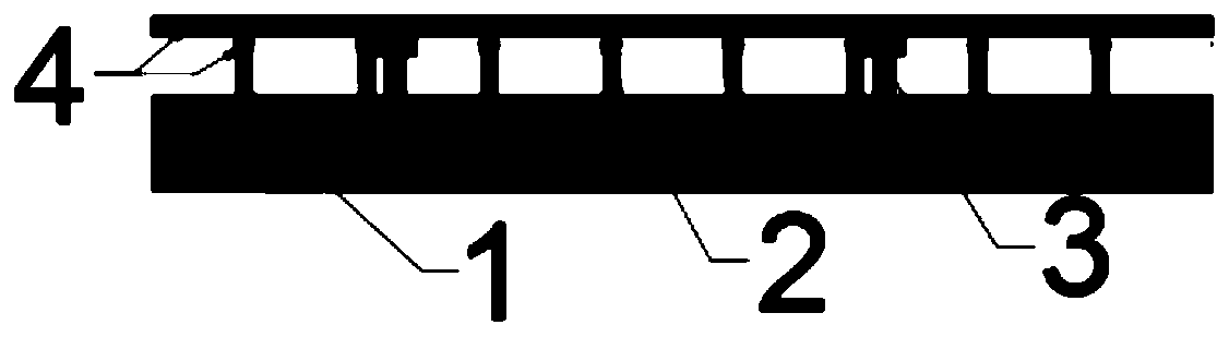 Steel-PVA fiber toughness concrete combined bridge deck structure and construction method thereof