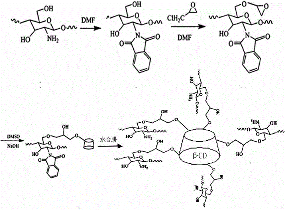 Oleanolic acid based drug slow-release agent and preparation method thereof