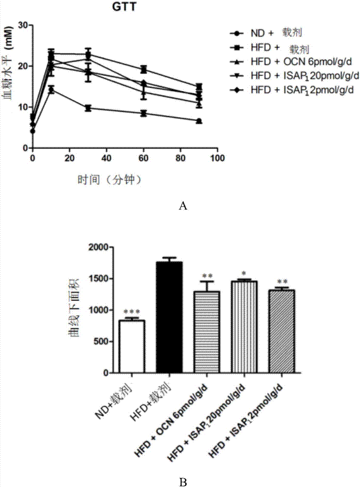 Polypeptide capable of regulating glycometabolism and application thereof