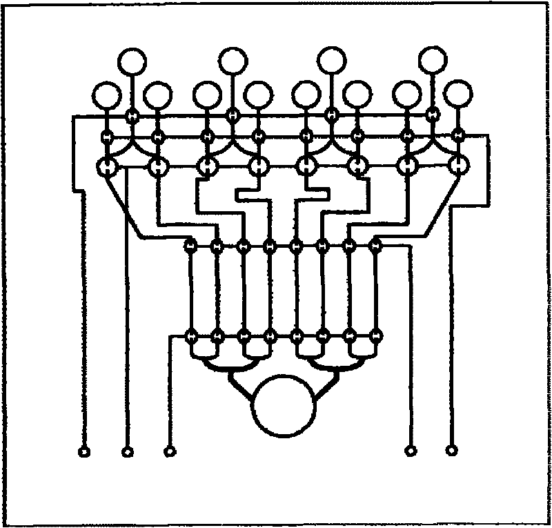 Beta 2-adrenergic receptor stimulant detection method based on microfluidic chip