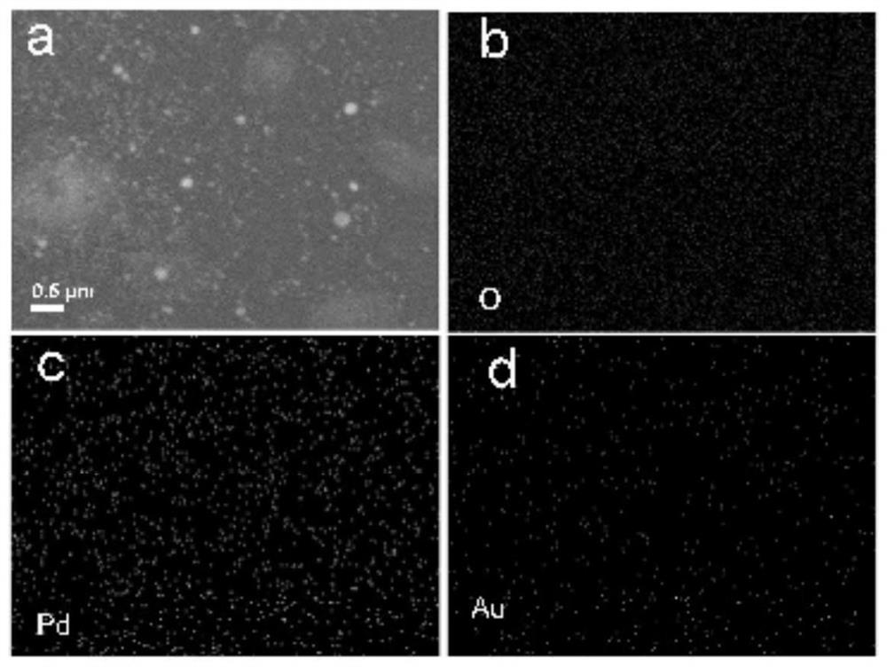 Flower-like palladium oxide-gold nano composite material and preparation method as well as application thereof