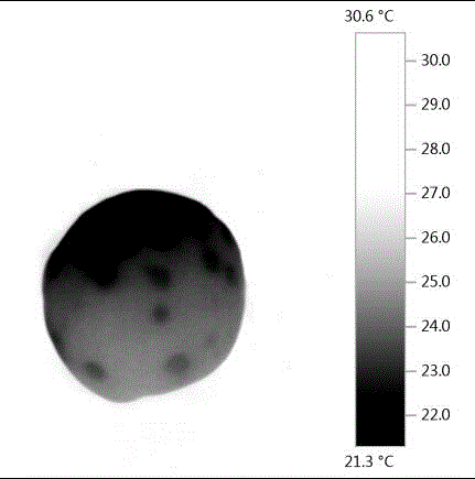 Method for testing and comprehensively evaluating invisible damage to surface of fruit through infrared images