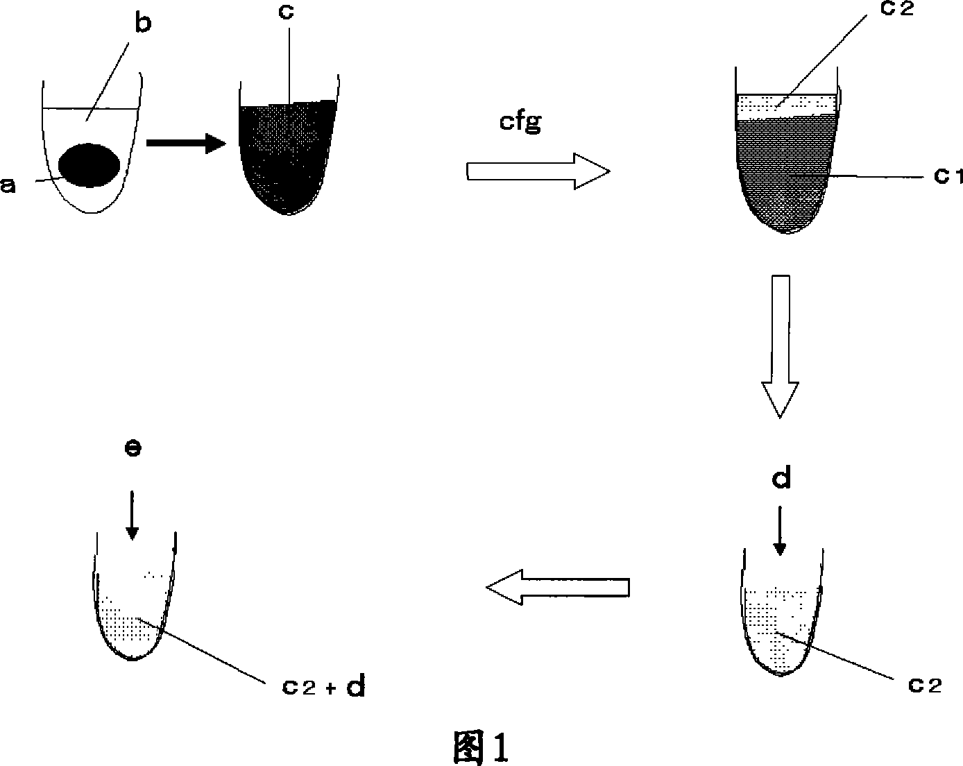 Method of detecting gene methylation and method of examining neoplasm by detecting methylation