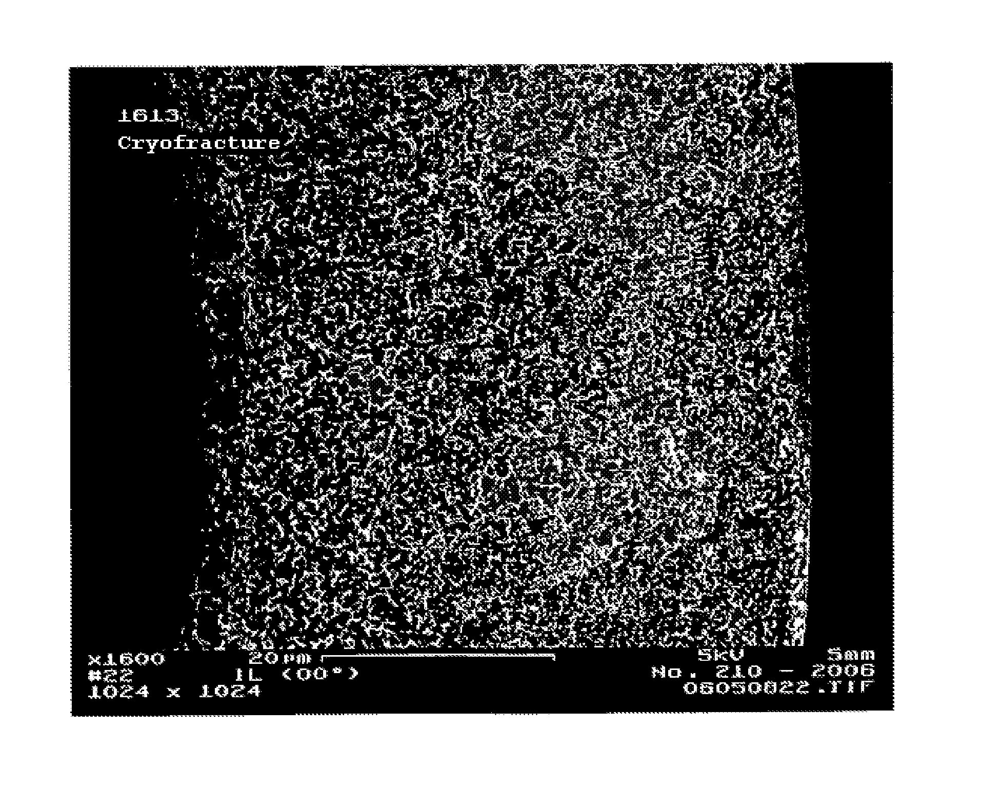 Hollow fiber capillary membrane and method for the production thereof