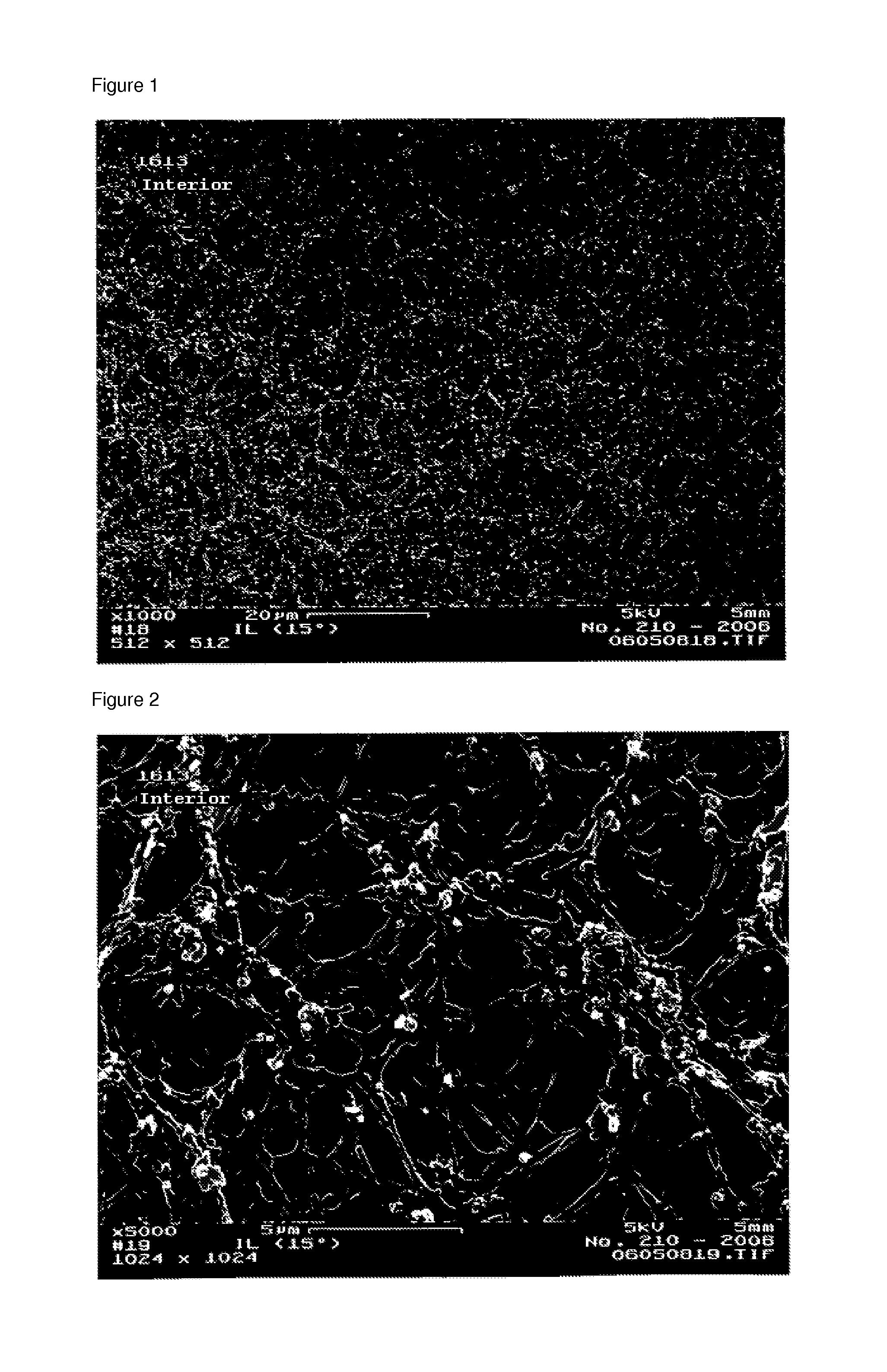 Hollow fiber capillary membrane and method for the production thereof