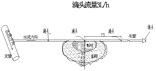 Method for planting seedlings and afforestation in sandy land in arid area by using bare-root seedlings of shrub mulberry in sandy land and special seedling planting device