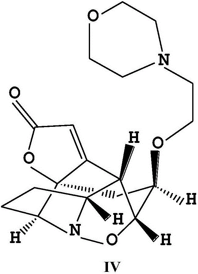 Application of composition of tetrahydropyrrolyl and morpholinyl derivatives of Virosaine A in anti-liver fibrosis drugs