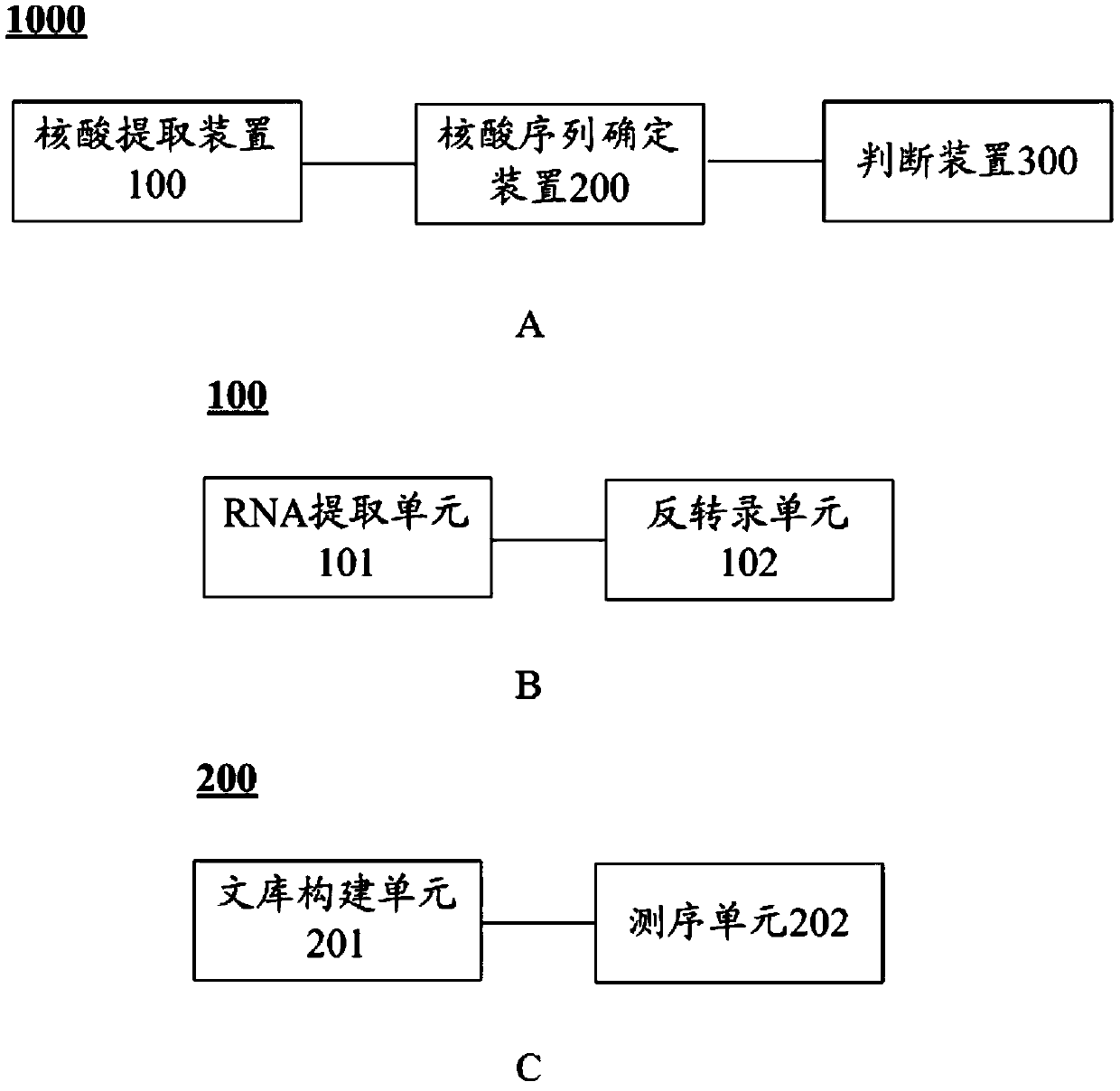 FN1 gene mutation and application thereof