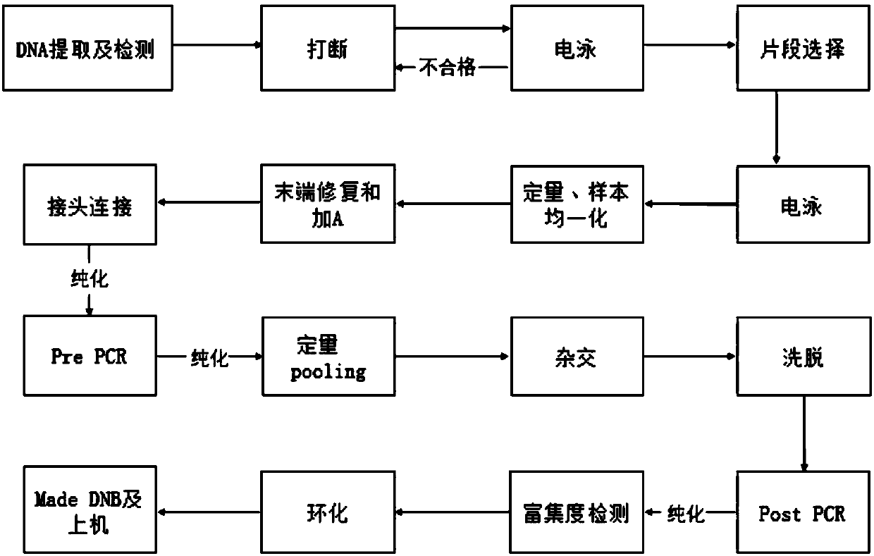 FN1 gene mutation and application thereof