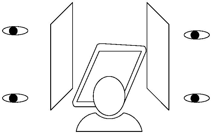 Privacy structure, display device and display method of display device