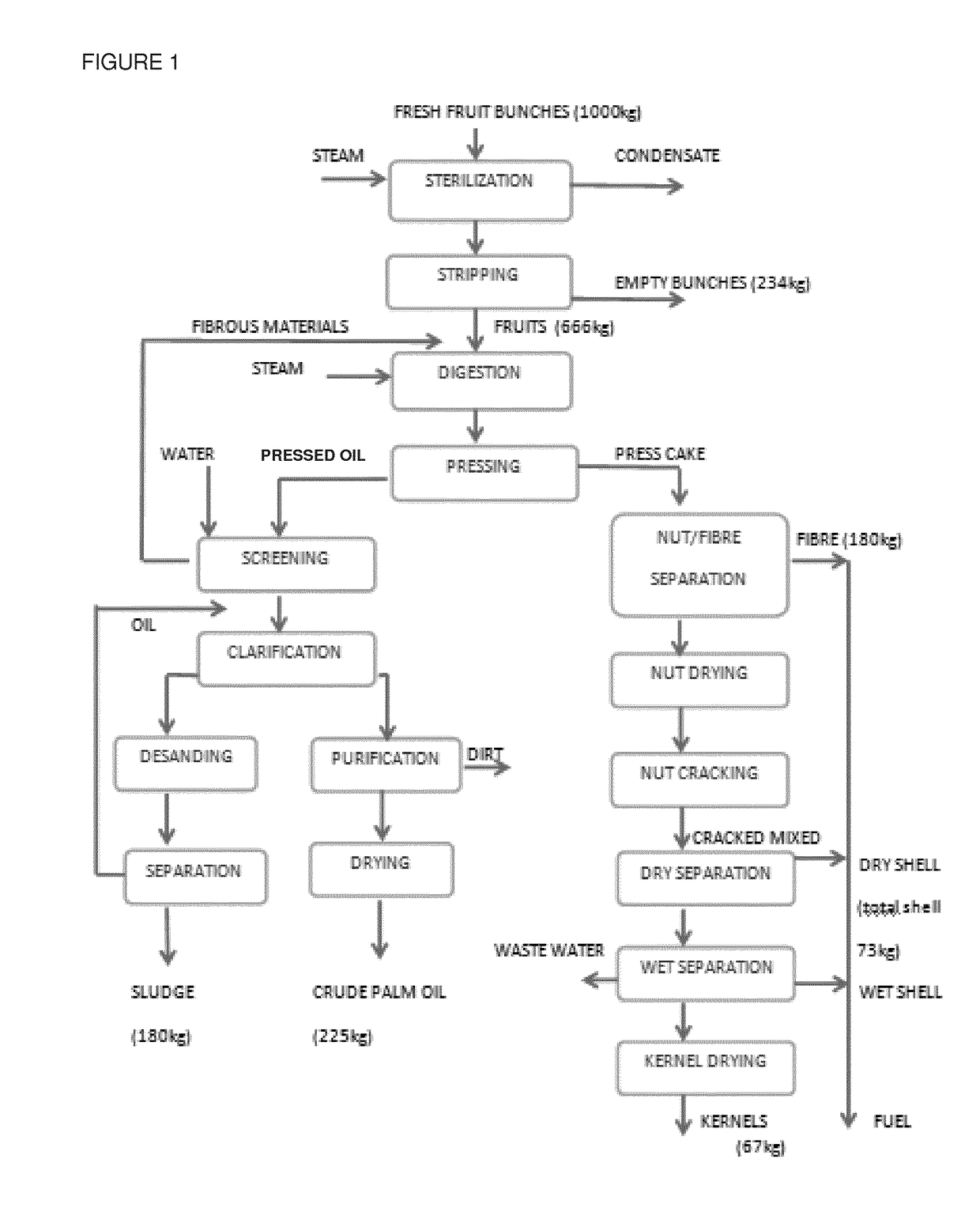 Method for increasing crude palm oil yields