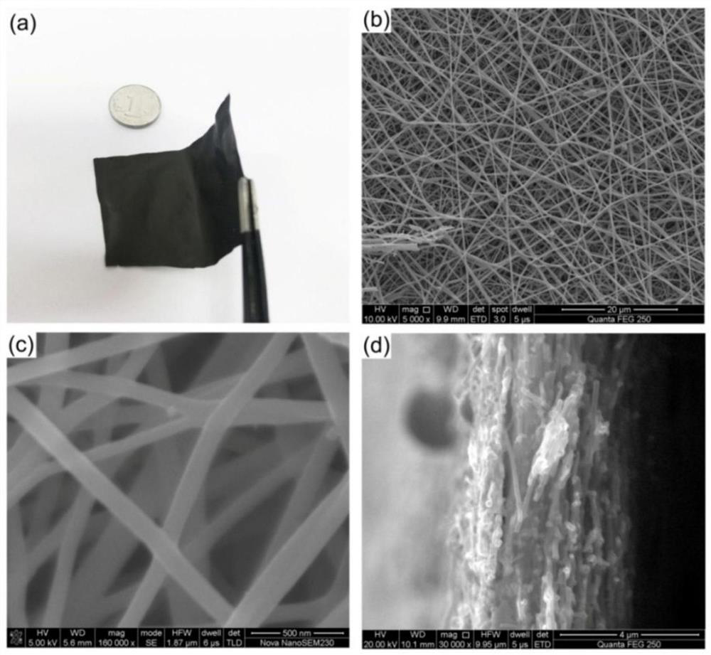 Integrated PtCu/carbon nanofiber catalyst layer, preparation method thereof and application thereof in fuel cell